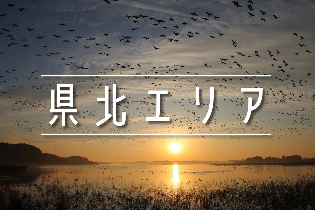 県北