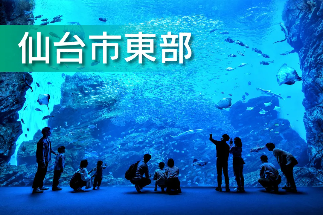 仙台市東部