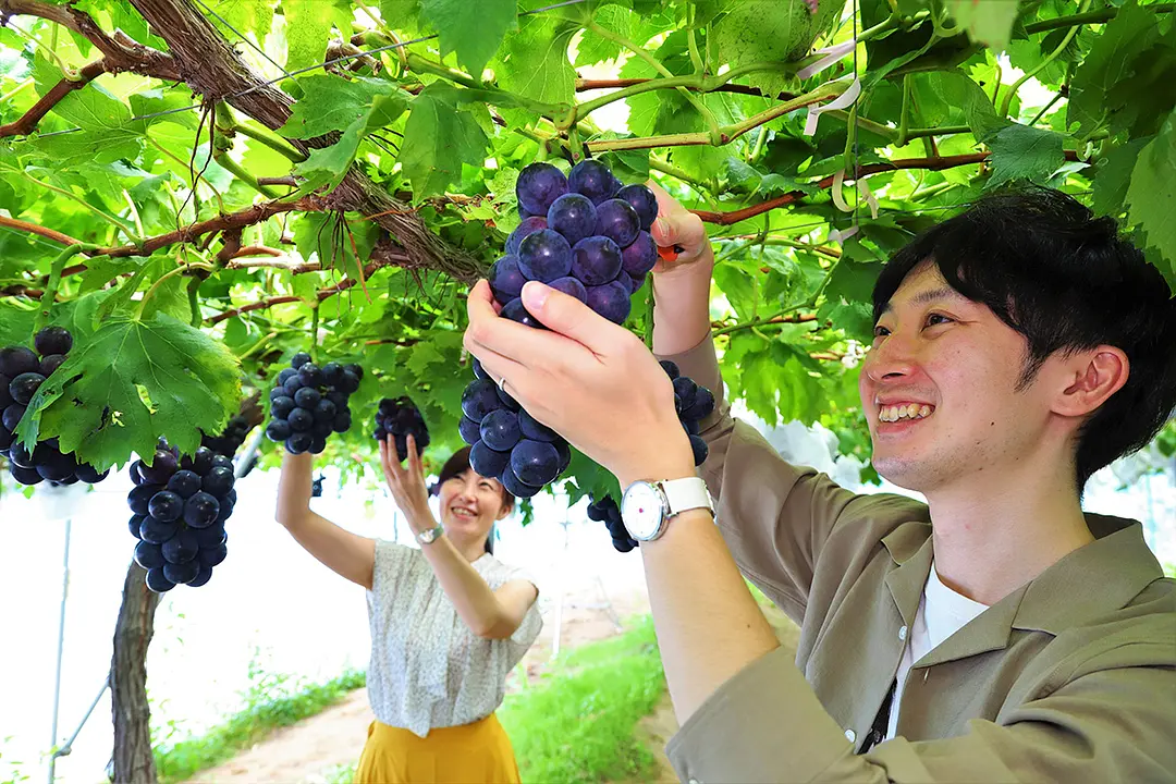 「ブドウ＆ナシ狩り体験」　せんだい農業園芸センター みどりの杜