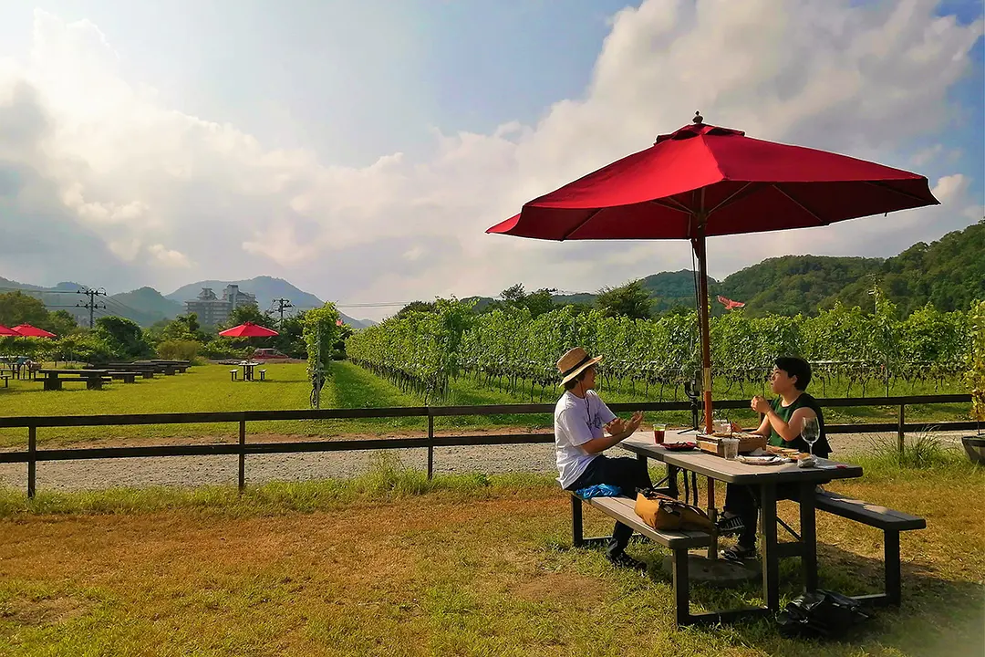 ワイナリーでぶどう畑を眺めながらワインを飲む