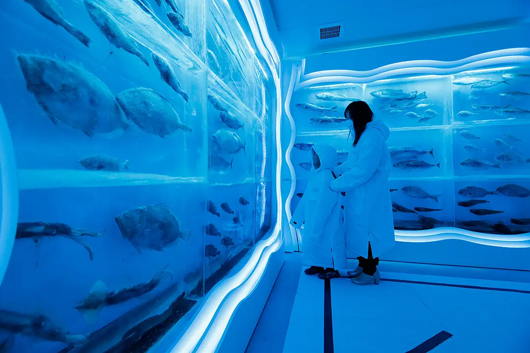 氷の水族館（気仙沼「海の市」1階）