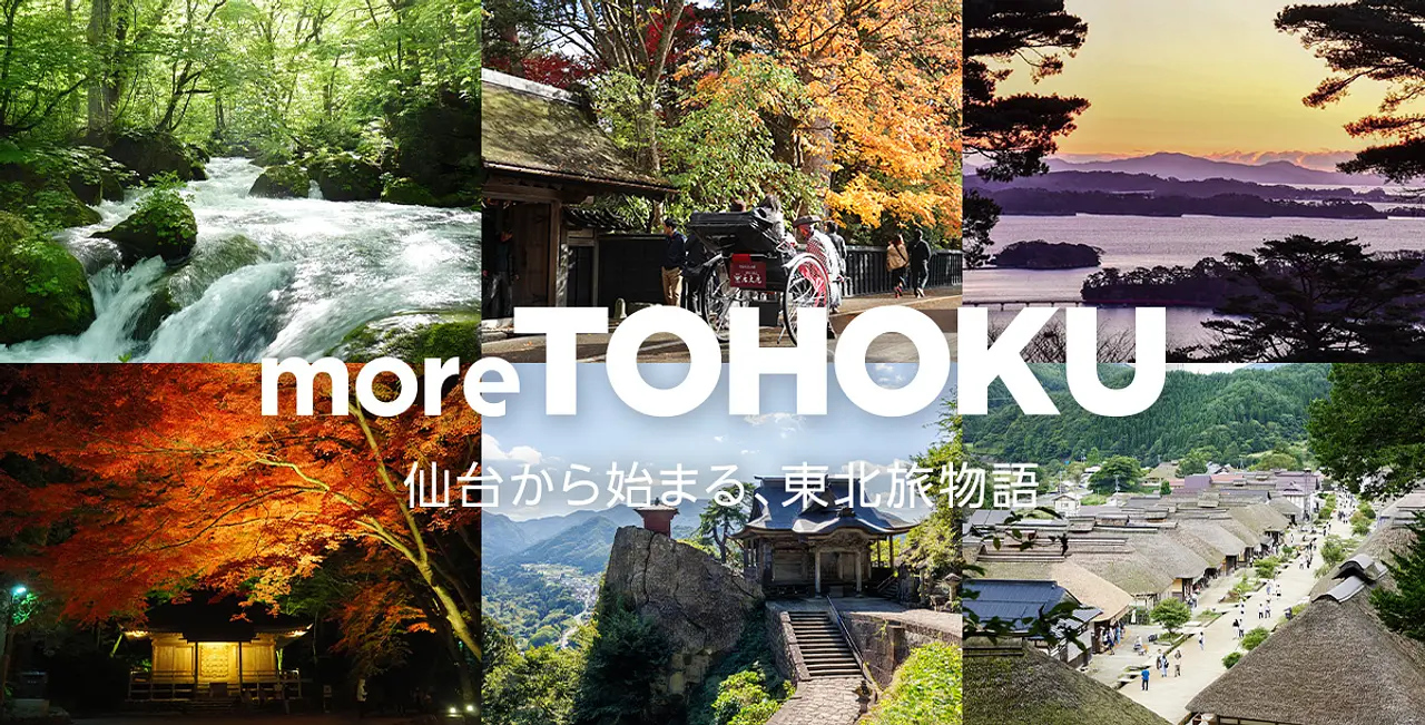 moreTOHOKU