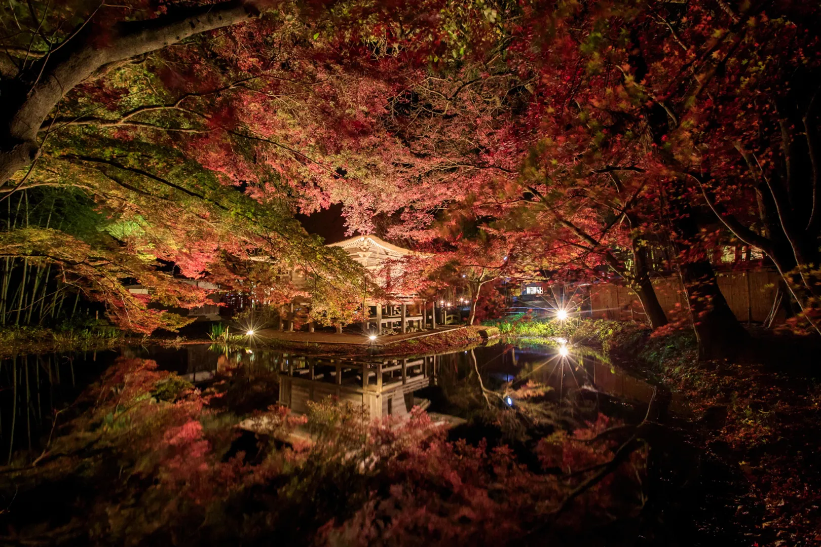 弁財天堂（ライトアップ）