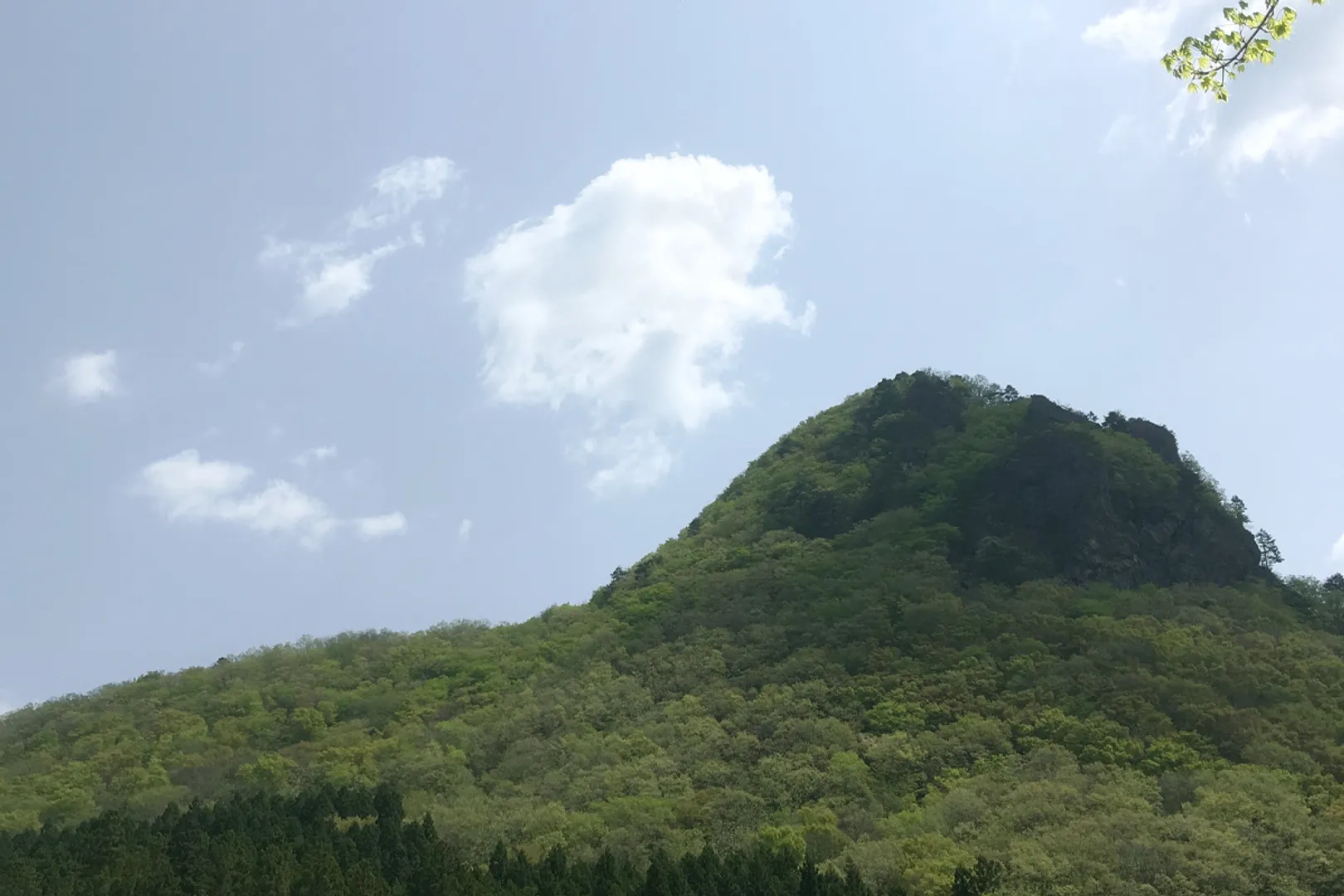 鎌倉山（ゴリラ山）.jpg