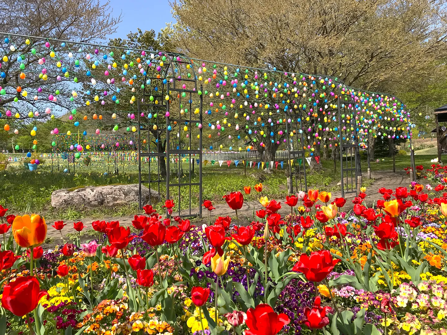 IMG_3402 - コピー.JPG