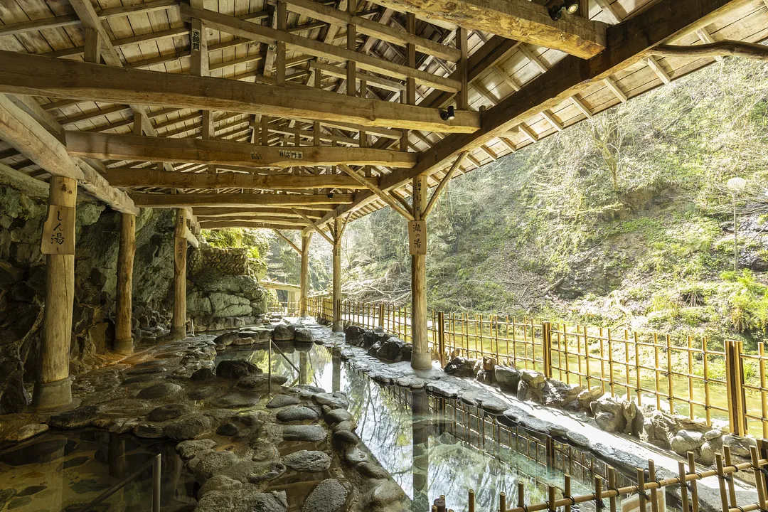 센다이 서부(사쿠나미, 조기)