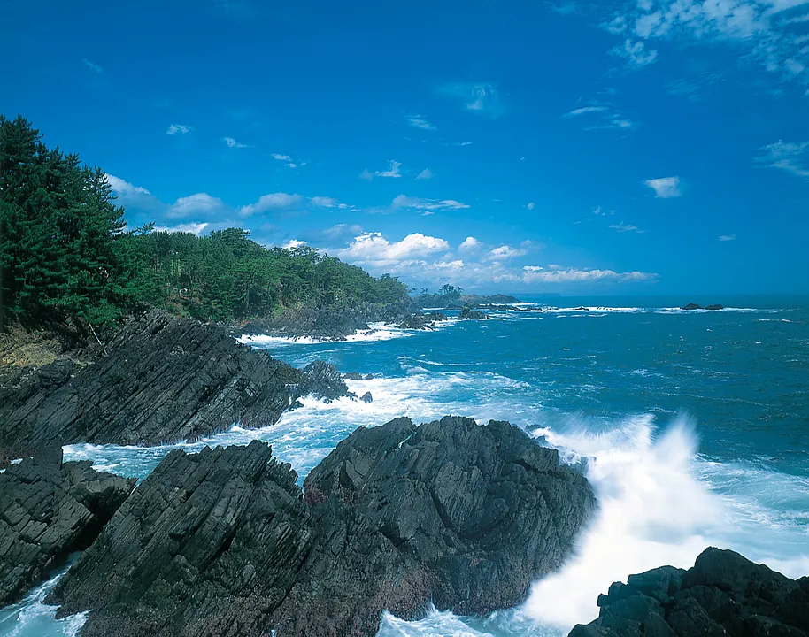 三陸エリア（石巻、女川、南三陸、気仙沼）