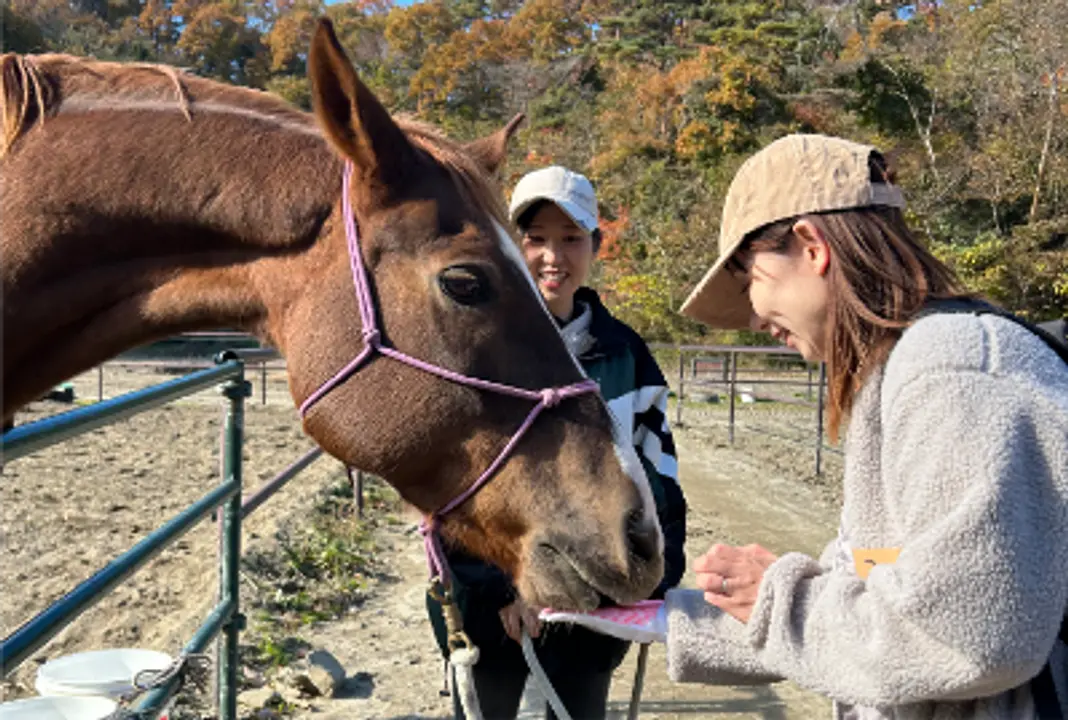 パドックツアー　（所要時間45分）