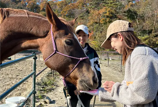 【馬ふれあい】パドックツアー　（所要時間45分）