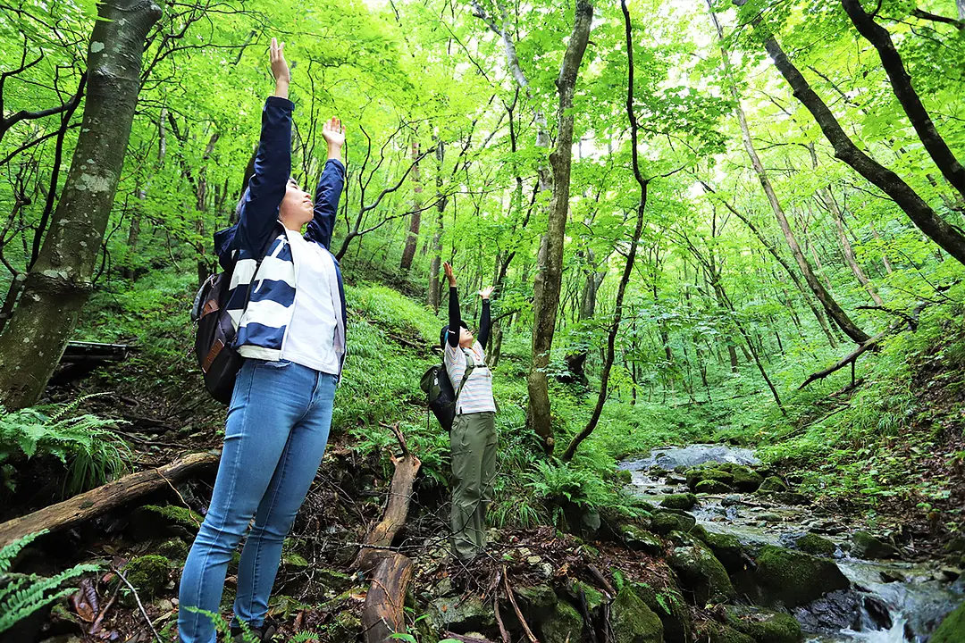 「−杜−水−温泉–」作並・癒しのひととき