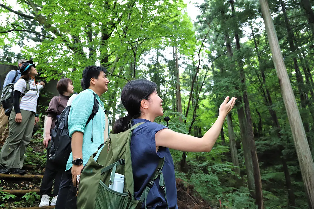 木洩れ日を浴びて、森をゆったりと散策します。