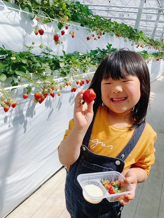 一苺一笑_メイン写真.jpg