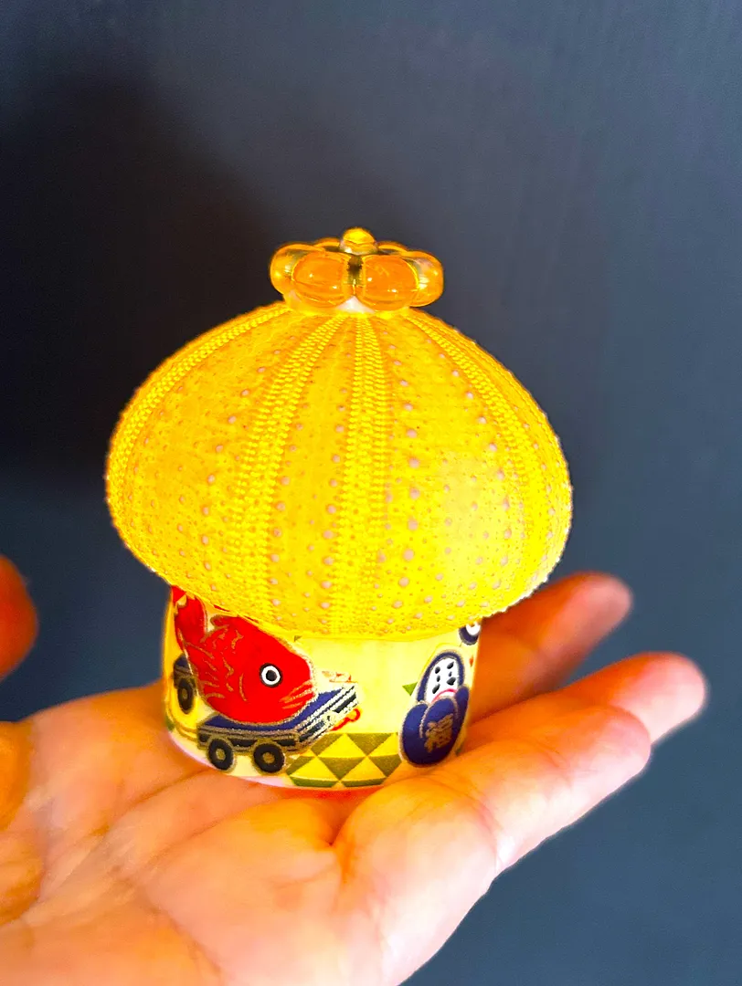 saji syrup「七夕和紙を使ってウニらんぷ作り」