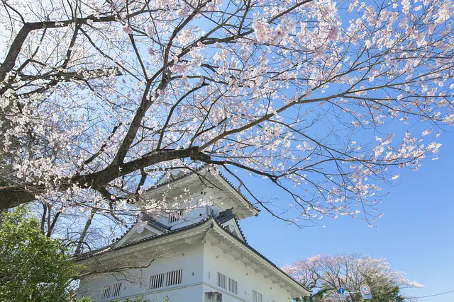 仙台の桜と温泉をめぐる1泊2日コース