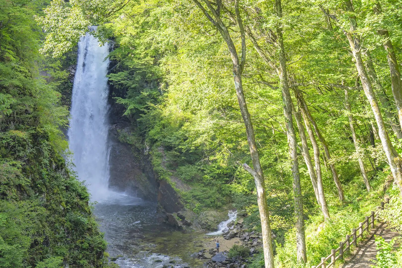 新緑に囲まれた秋保大滝