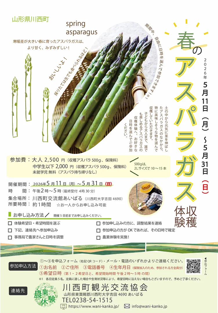 2026アスパラチラシ.jpg