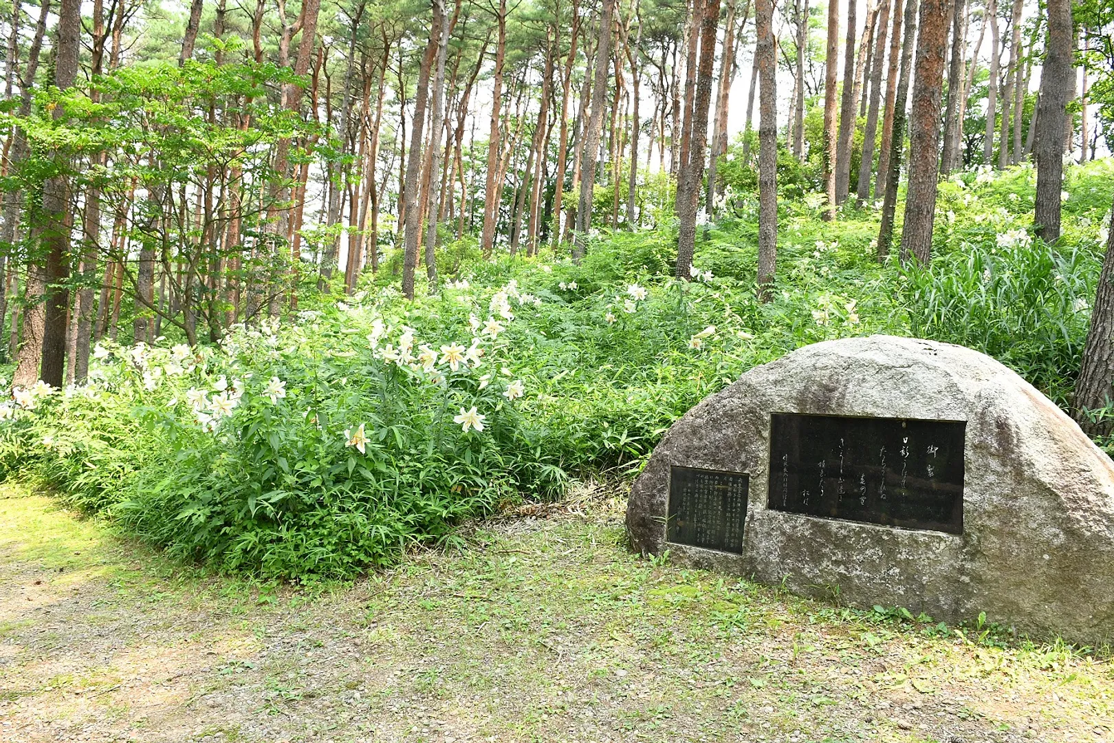 昭和万葉の森.jpg