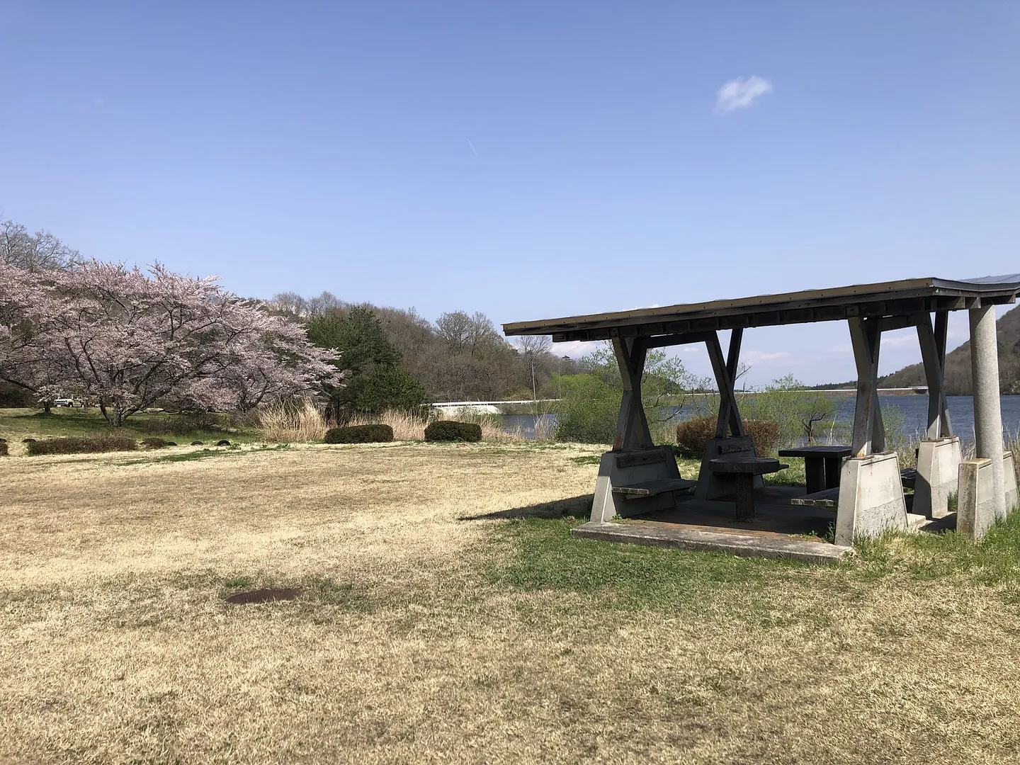 牛野ダムキャンプ場.jpeg
