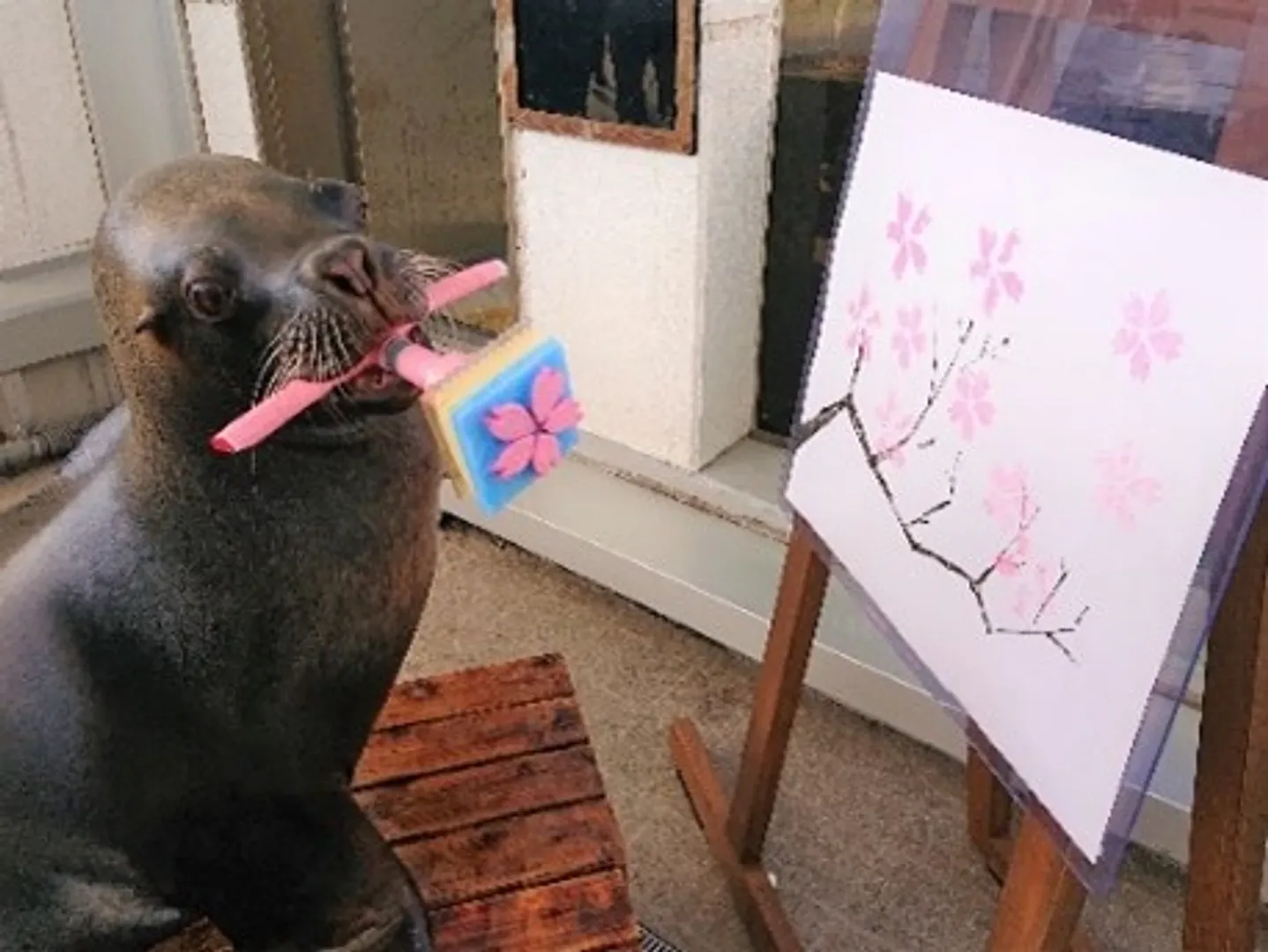 オタリアの桜パフォーマンス