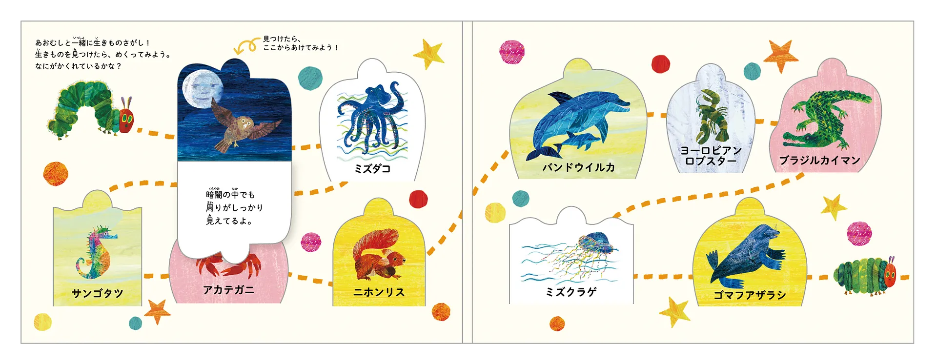 生きものさがしカード