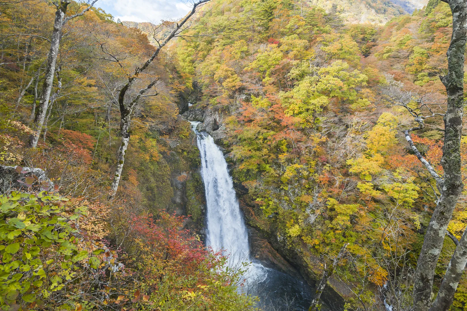 錦繍の秋は一層見事な眺め