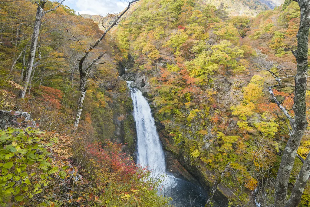 落差55mの秋保大滝と、ケヤキ並木の定禅寺通