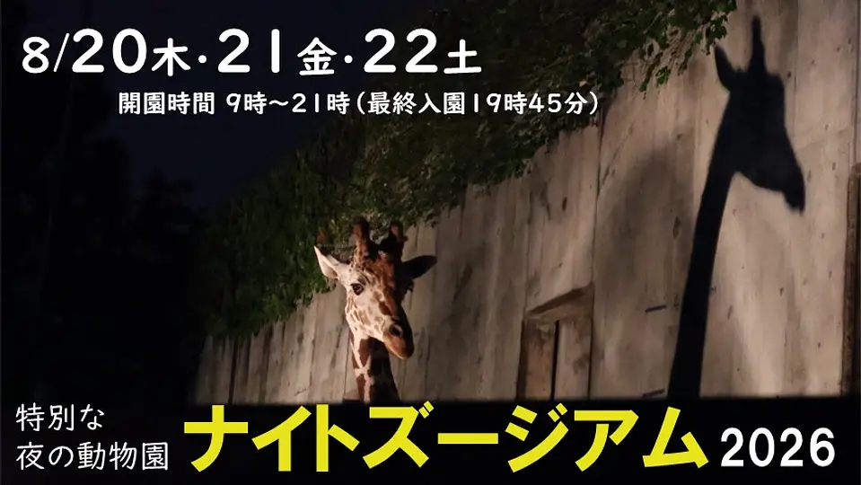 ナイトズージアム2026.jpg