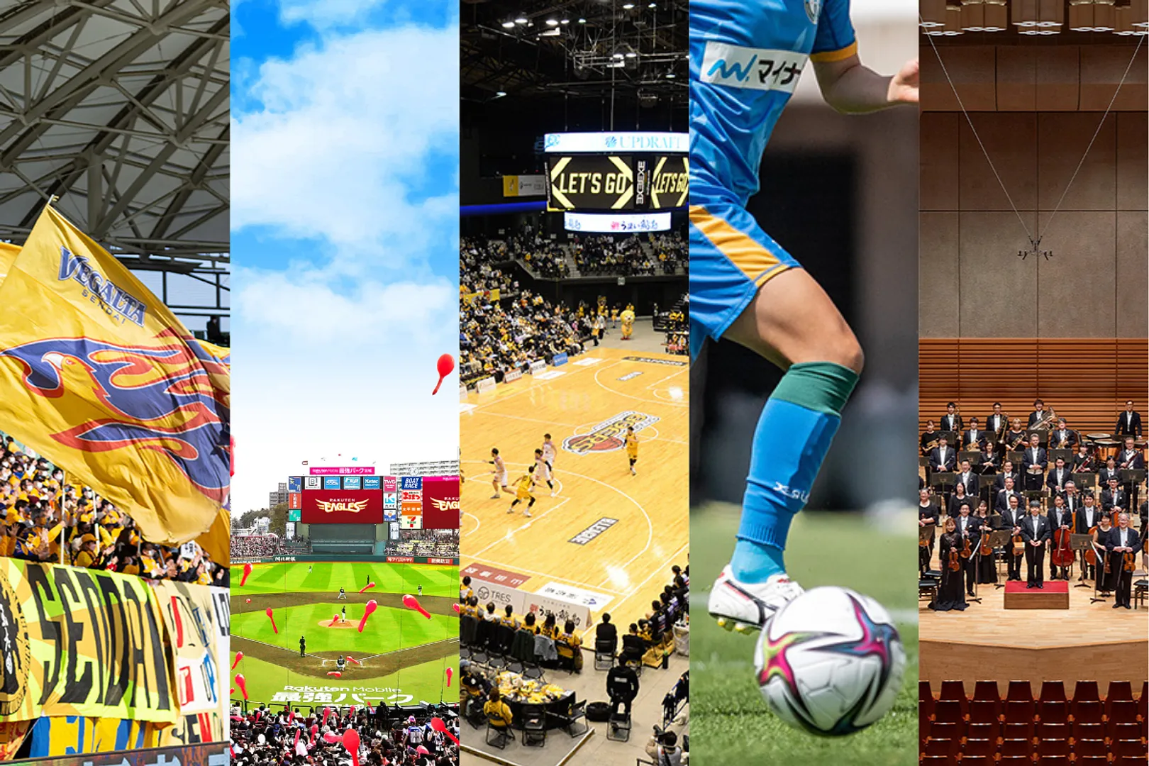 プロスポーツチーム・プロオーケストラMV.png