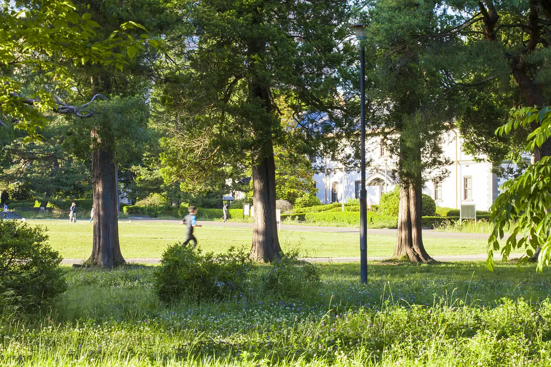 榴岡公園