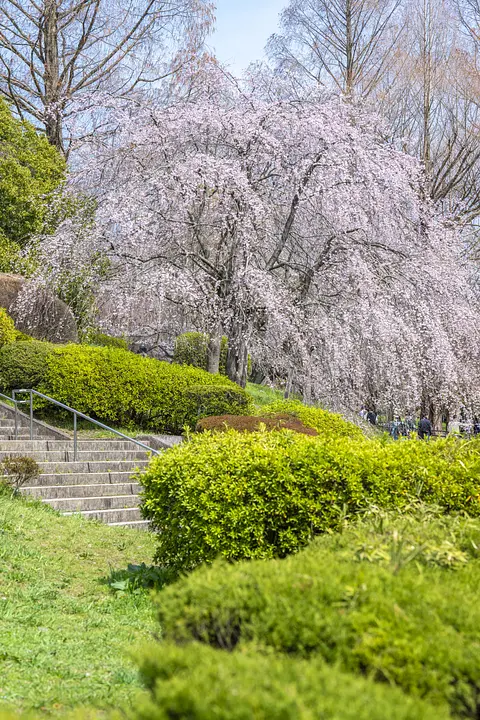 榴岡公園