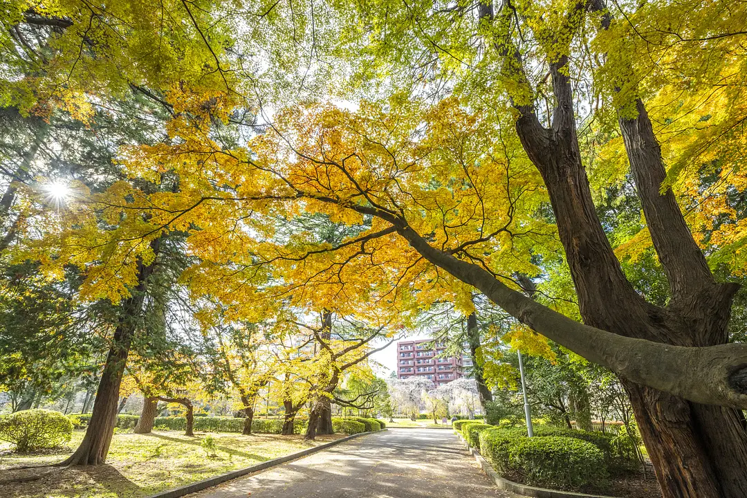 榴岡公園