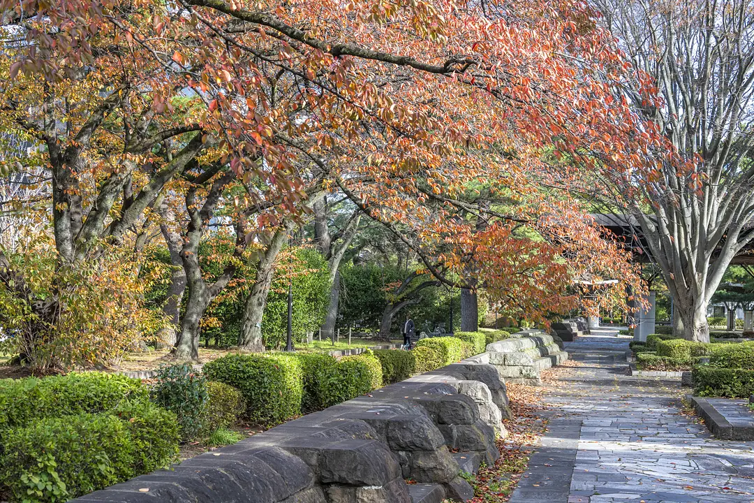 榴岡公園