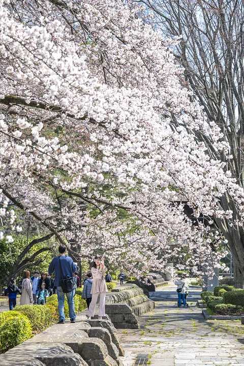 榴岡公園