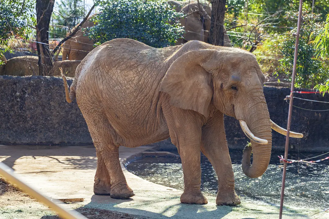 八木山動物公園フジサキの杜