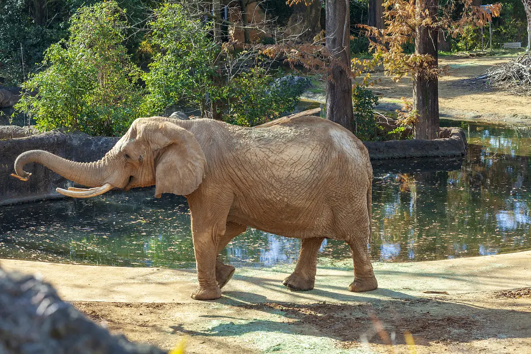 八木山動物公園フジサキの杜