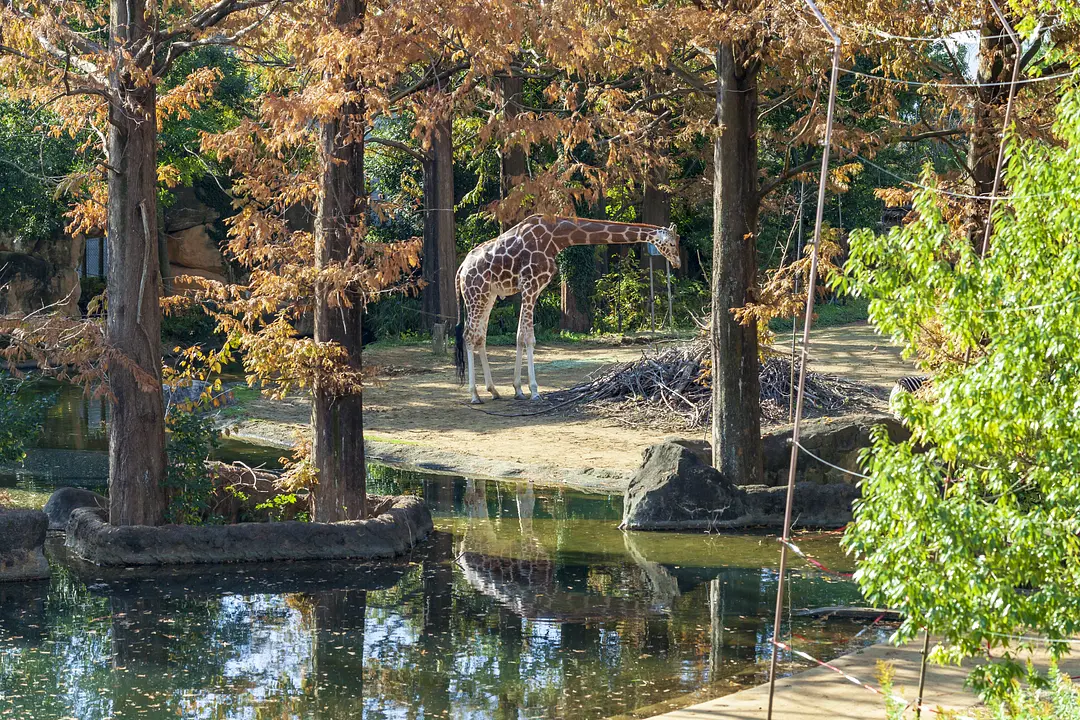 八木山動物公園フジサキの杜