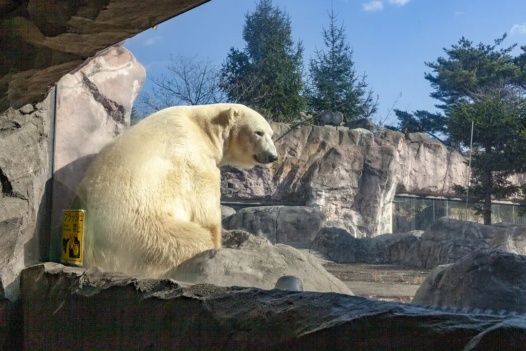 八木山動物公園フジサキの杜