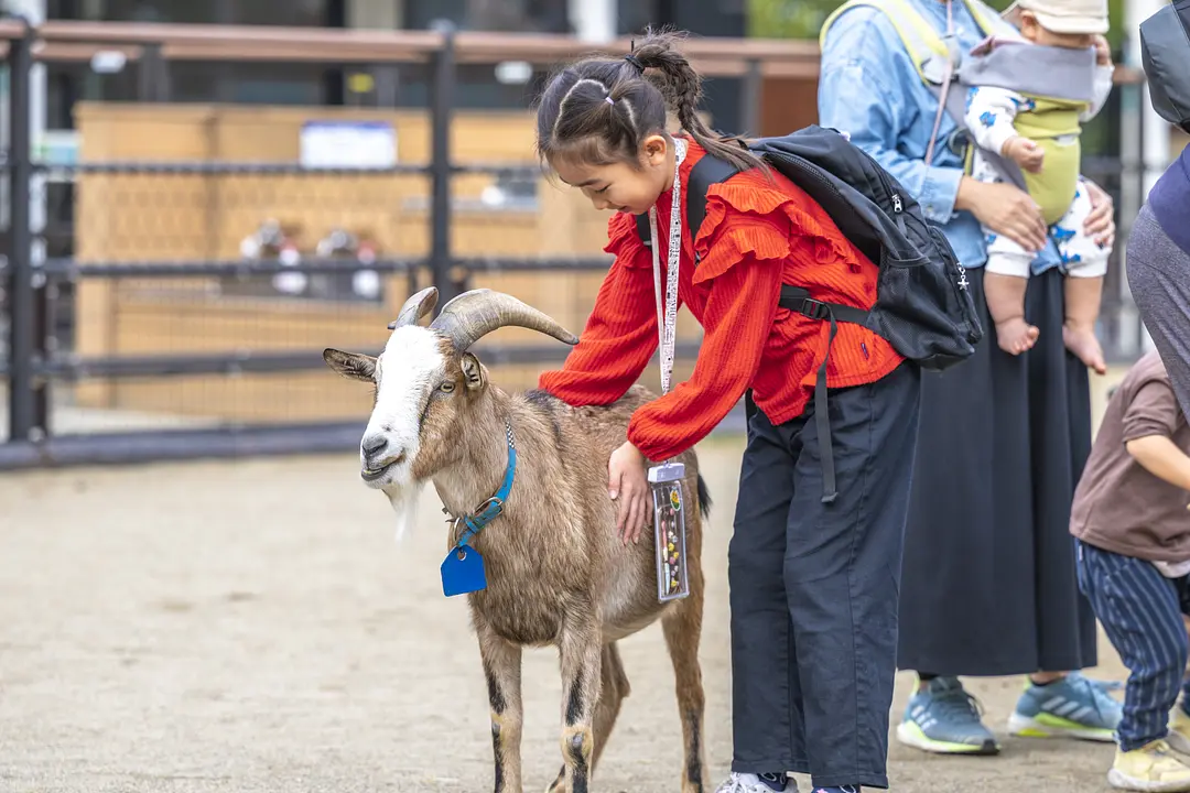 八木山動物公園フジサキの杜