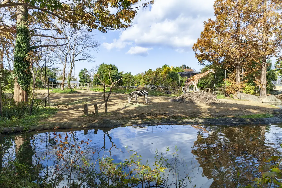 八木山動物公園フジサキの杜