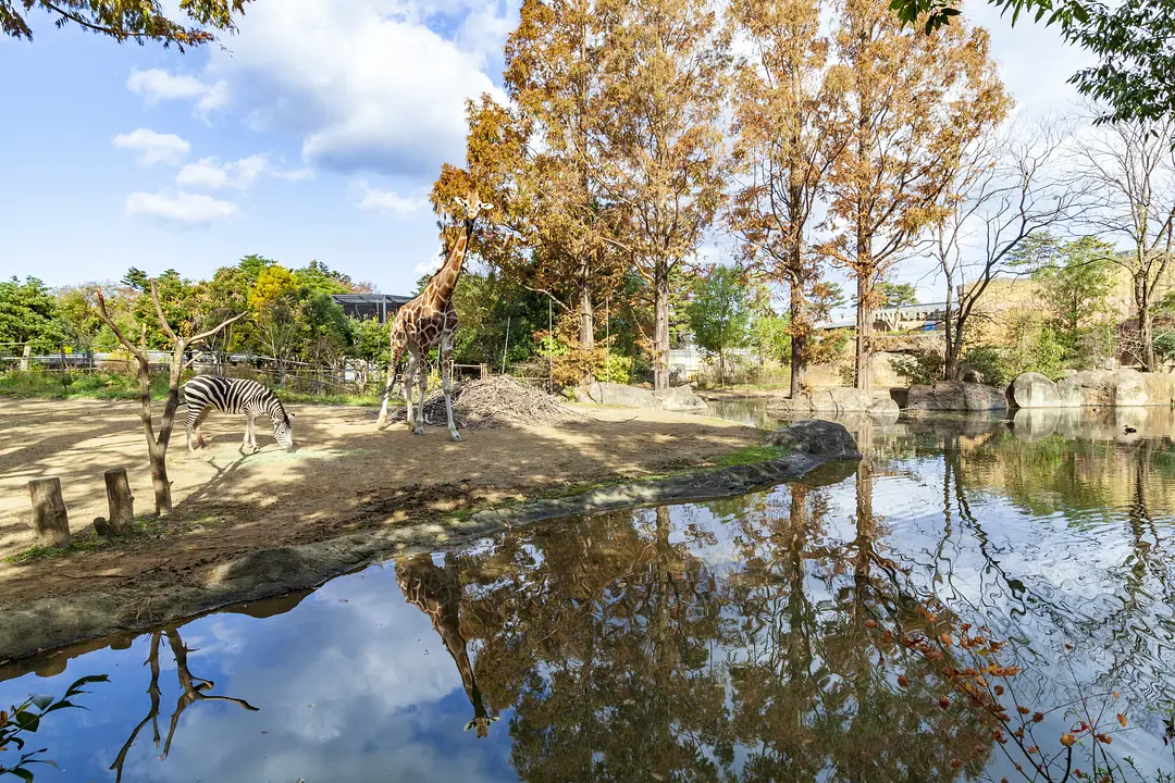 八木山動物公園フジサキの杜