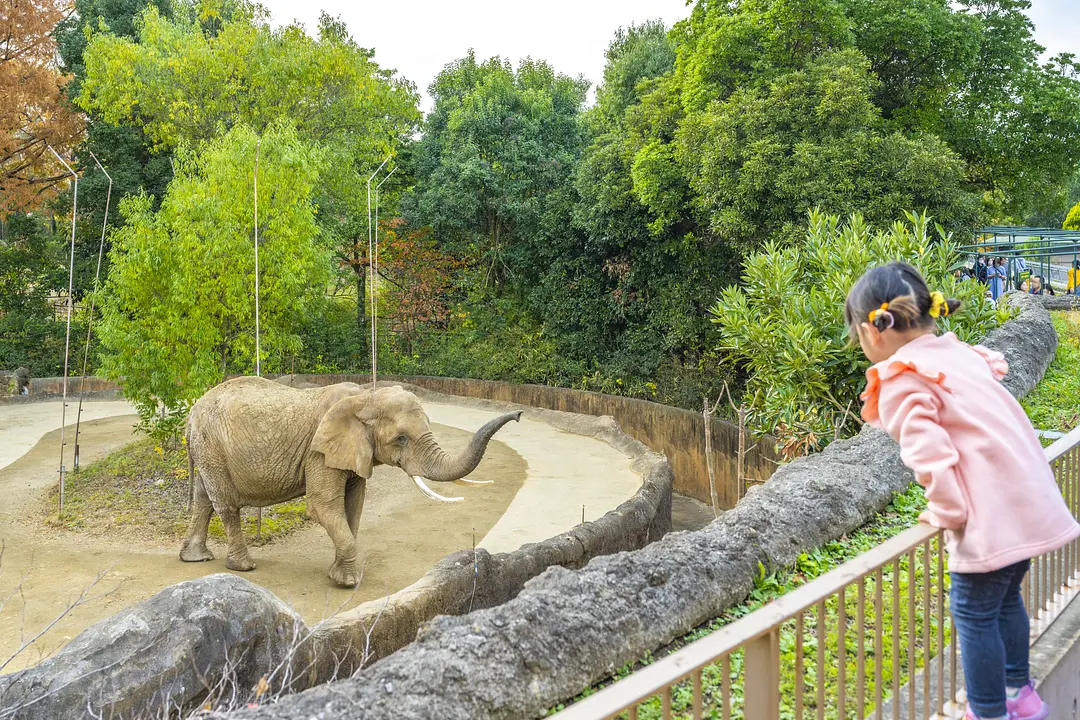 八木山動物公園フジサキの杜