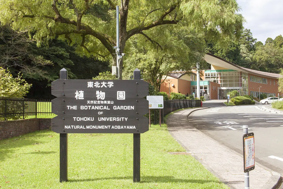 東北大学植物園