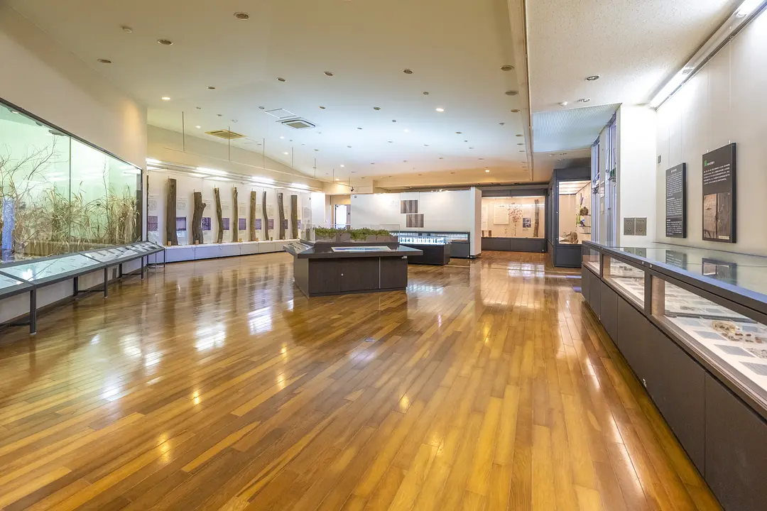 東北大学植物園