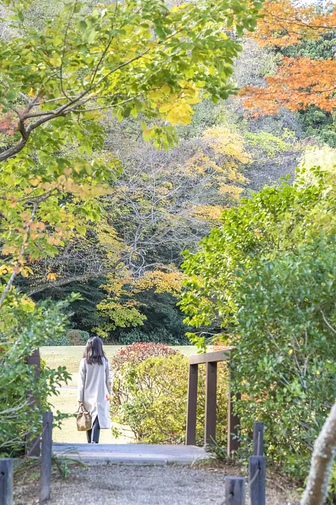 東北大学植物園