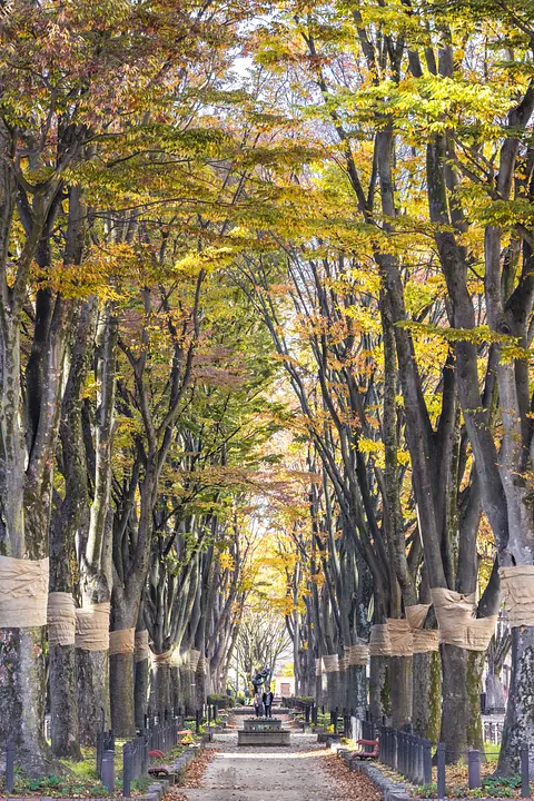 定禅寺通