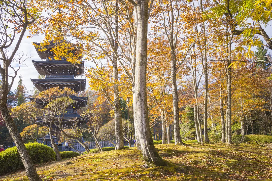 定義如来　西方寺