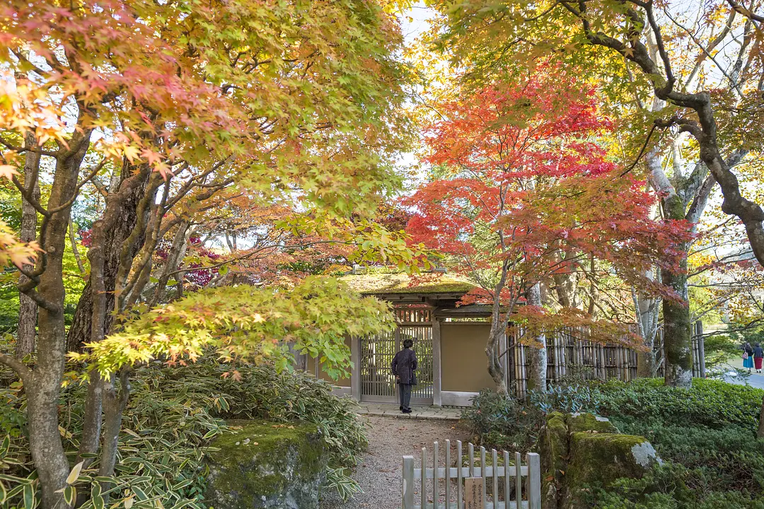 定義如来　西方寺
