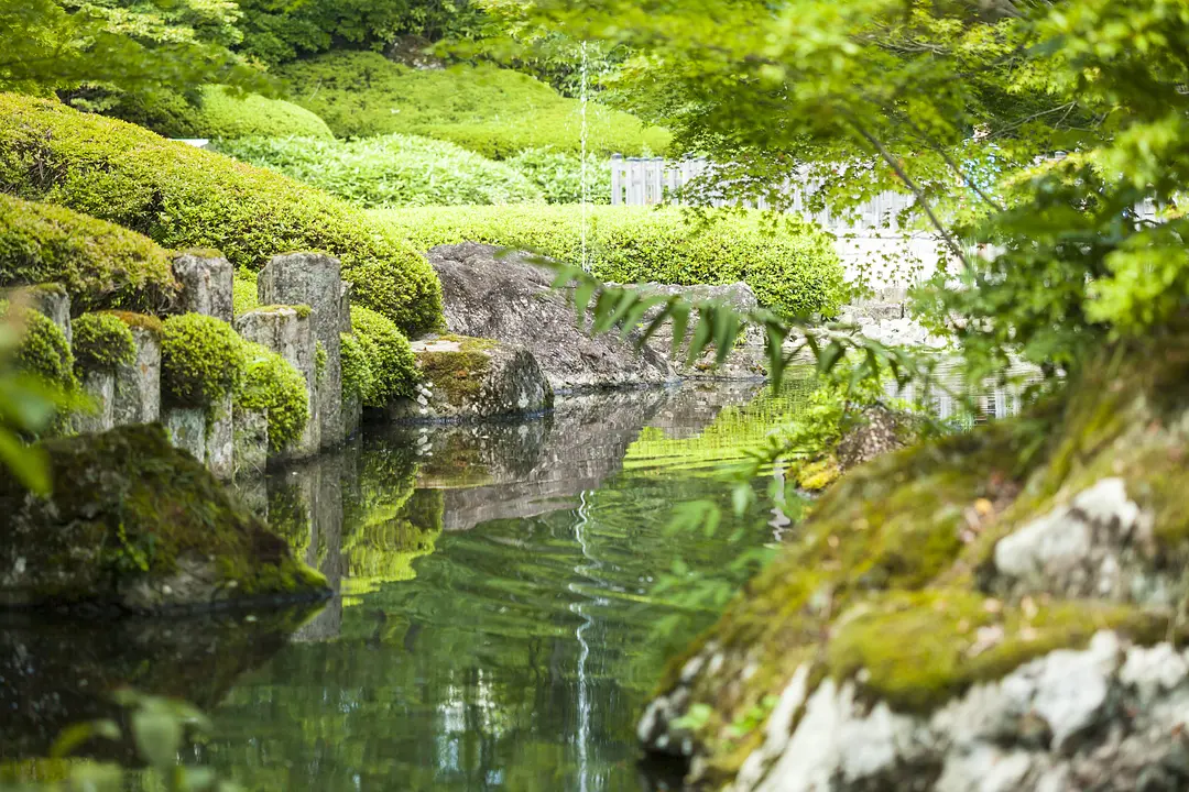 定義如来　西方寺