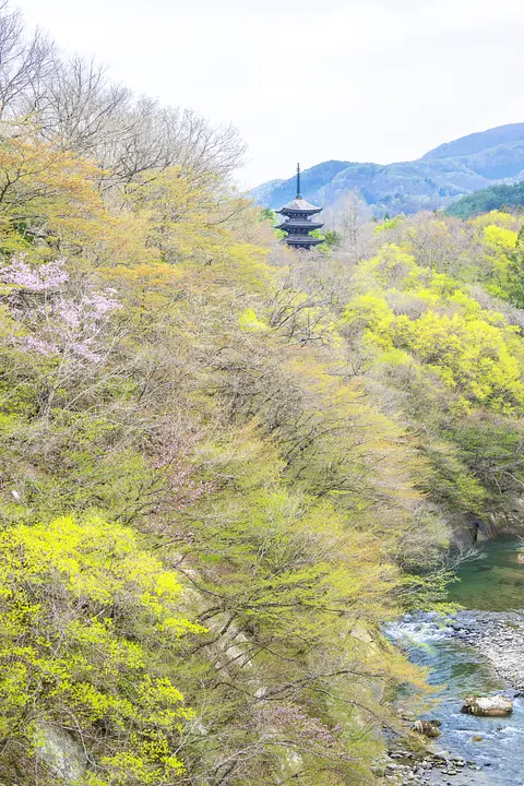 定義如来　西方寺