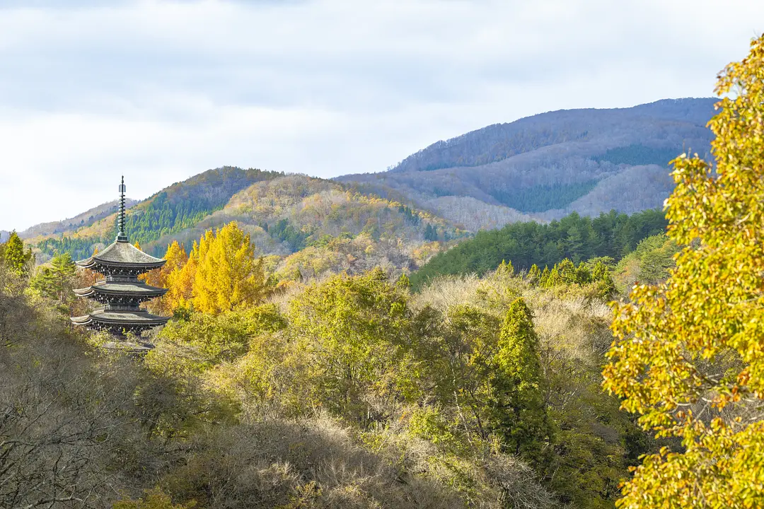 定義如来　西方寺